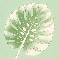 石*霖